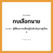 สำนวนไทย: กบเลือกนาย หมายถึง?, หมายถึง ผู้ที่ต้องการเปลี่ยนผู้บังคับบัญชาอยู่เรื่อย ๆ คำนาม นาย สัตว์ กบ