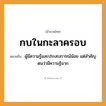 สำนวนไทย: กบในกะลาครอบ หมายถึง?, หมายถึง ผู้มีความรู้และประสบการณ์น้อย แต่สำคัญตนว่ามีความรู้มาก สัตว์ กบ