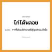 สำนวนไทย: ไก่ได้พลอย หมายถึง?, หมายถึง การที่ได้ของมีค่ามาแต่ไม้รู้คุณค่าของสิ่งนั้น สัตว์ ไก่ ธรรมชาติ ไม้