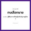 สำนวนไทย: กบเลือกนาย หมายถึง?, หมายถึง ผู้ที่ต้องการเปลี่ยนผู้บังคับบัญชาอยู่เรื่อย ๆ