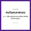 สำนวนไทย: กบในกะลาครอบ หมายถึง?, หมายถึง ผู้มีความรู้และประสบการณ์น้อย แต่สำคัญตนว่ามีความรู้มาก สัตว์ กบ