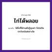 สำนวนไทย: ไก่ได้พลอย หมายถึง?, หมายถึง ได้สิ่งที่มีค่าแต่ไม่รู้คุณค่า จึงไม่เกิดประโยชน์แต่อย่างใด สัตว์ ไก่
