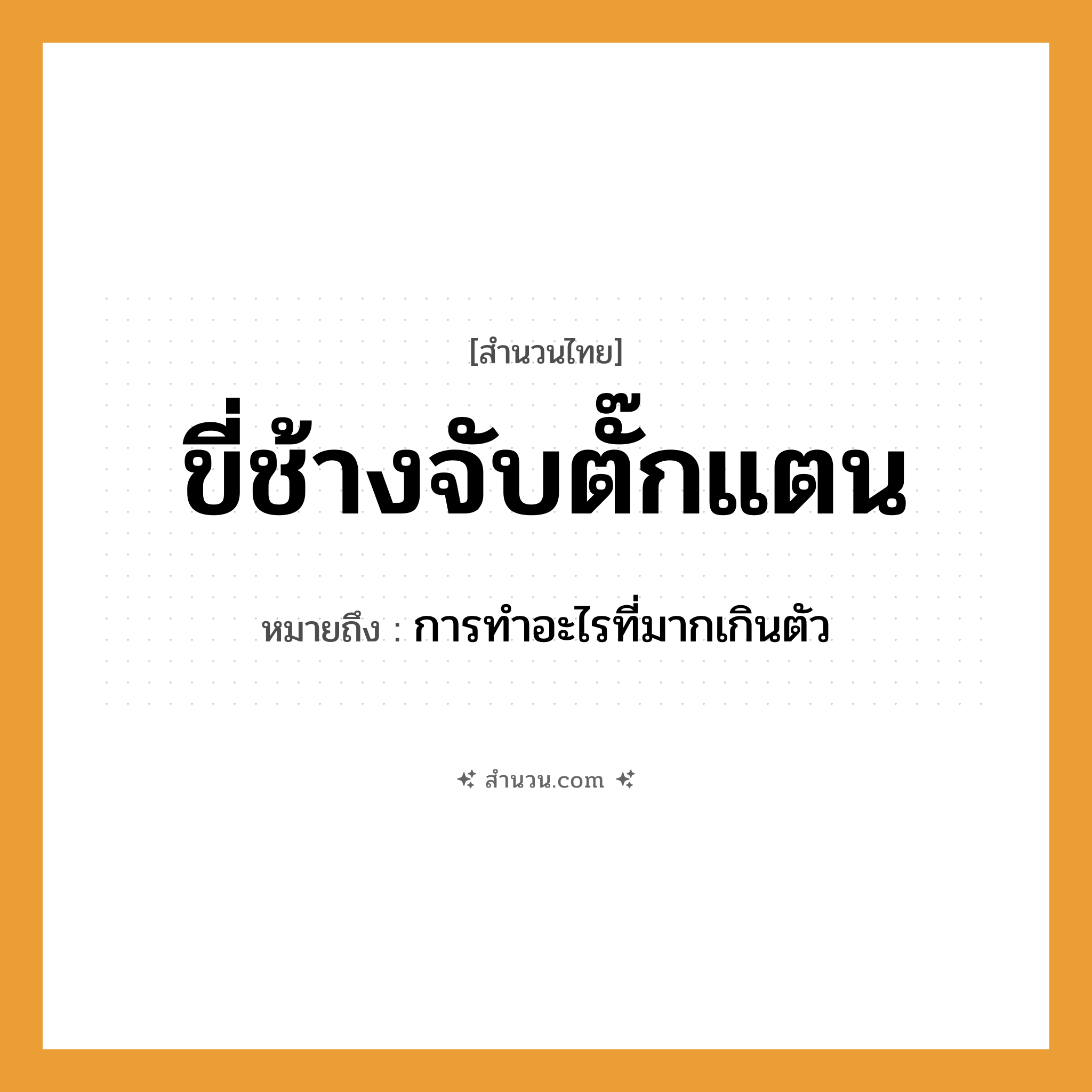 สำนวนไทย: ขี่ช้างจับตั๊กแตน หมายถึง?, หมายถึง การทำอะไรที่มากเกินตัว
