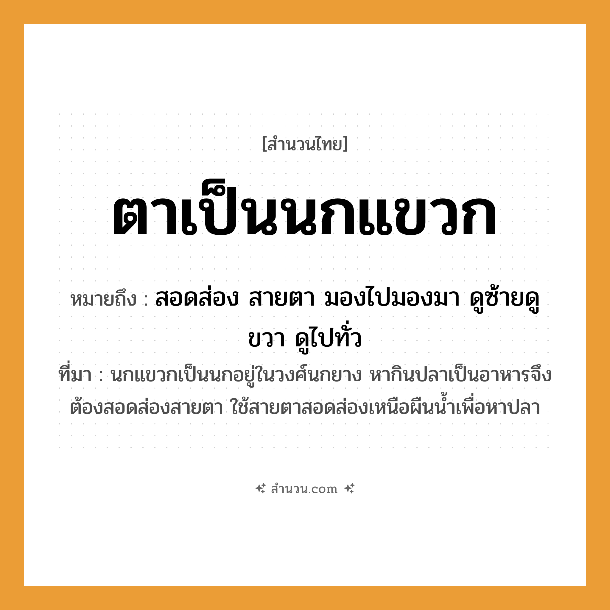 สำนวนไทย: ตาเป็นนกแขวก หมายถึง?, หมายถึง สอดส่อง สายตา มองไปมองมา ดูซ้ายดูขวา ดูไปทั่ว ที่มา นกแขวกเป็นนกอยู่ในวงศ์นกยาง หากินปลาเป็นอาหารจึงต้องสอดส่องสายตา ใช้สายตาสอดส่องเหนือผืนน้ำเพื่อหาปลา อวัยวะ ตา สัตว์ นก