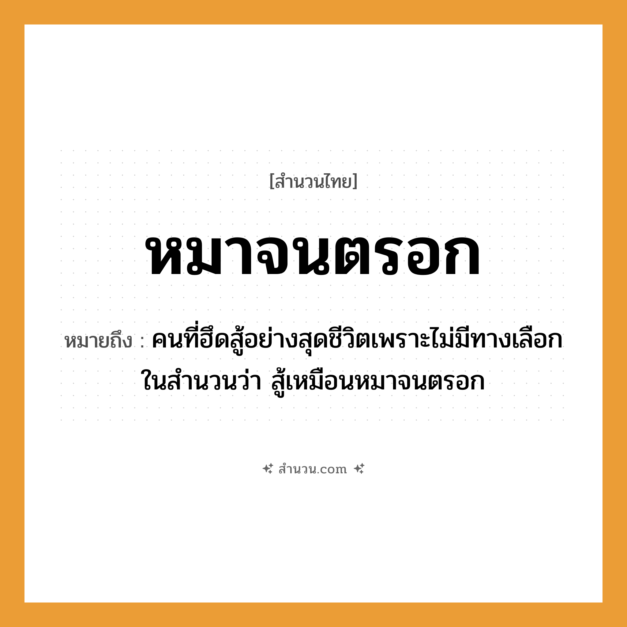 สำนวนไทย: หมาจนตรอก หมายถึง?, หมายถึง คนที่ฮึดสู้อย่างสุดชีวิตเพราะไม่มีทางเลือก หมายเหตุ ในสำนวนว่า สู้เหมือนหมาจนตรอก คำกริยา สู้ คำนาม คน