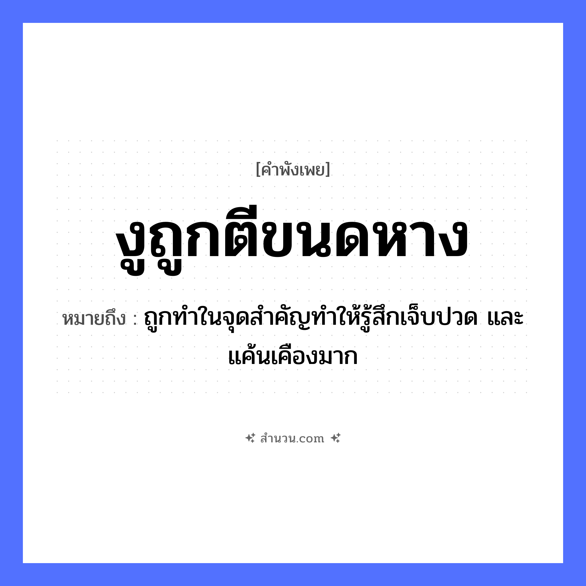 สำนวนไทย: งูถูกตีขนดหาง หมายถึง?, หมายถึง ถูกทำในจุดสำคัญทำให้รู้สึกเจ็บปวด และแค้นเคืองมาก สัตว์ งู อวัยวะ หาง คำกริยา ตี, ขนด หมวด คำพังเพย