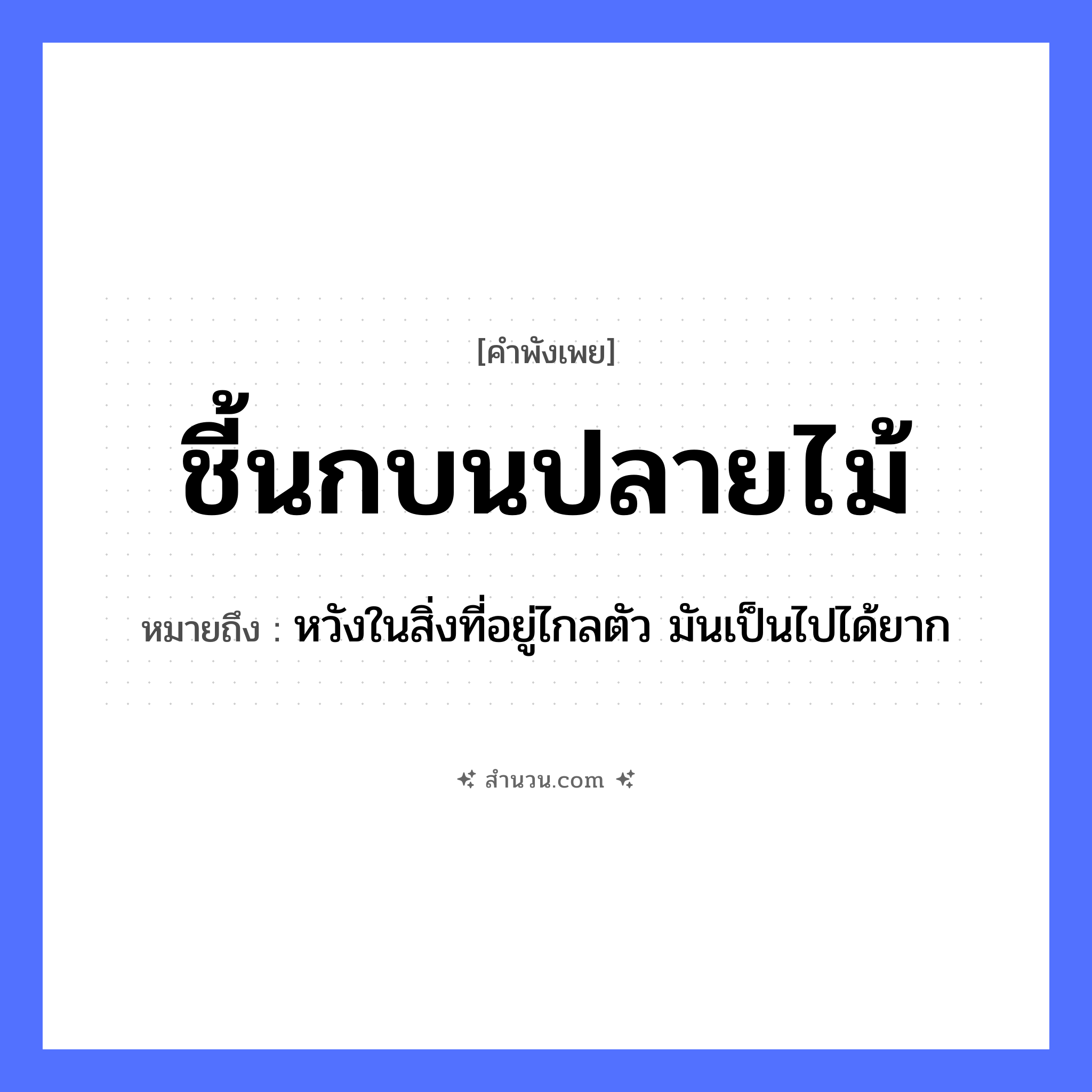 สำนวนไทย: ชี้นกบนปลายไม้ หมายถึง?, หมายถึง หวังในสิ่งที่อยู่ไกลตัว มันเป็นไปได้ยาก ธรรมชาติ ปลายไม้ สัตว์ นก คำกริยา ชี้ หมวด คำพังเพย