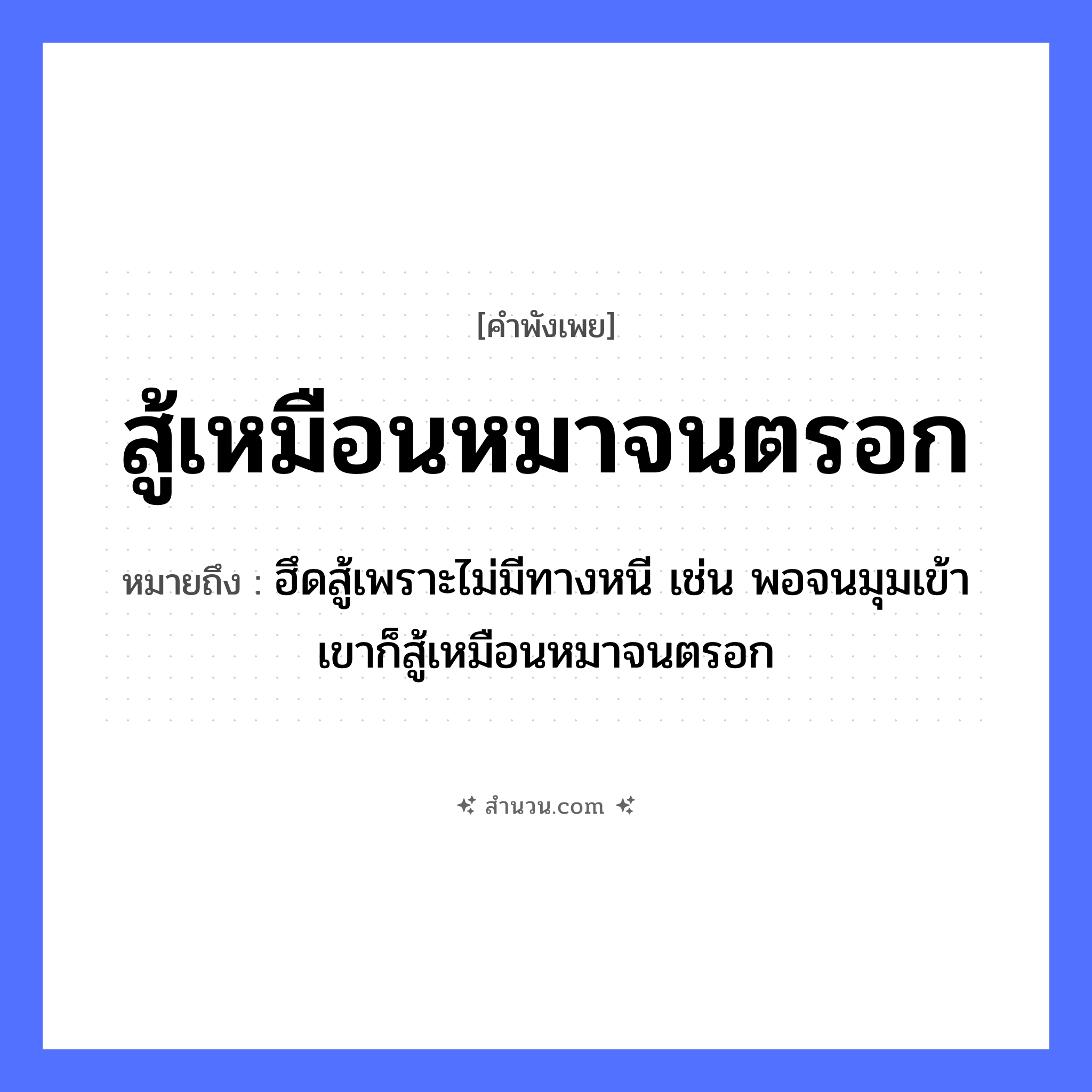 สำนวนไทย: สู้เหมือนหมาจนตรอก หมายถึง?, หมายถึง ฮึดสู้เพราะไม่มีทางหนี เช่น พอจนมุมเข้า เขาก็สู้เหมือนหมาจนตรอก สัตว์ หมา คำกริยา สู้, จน ธรรมชาติ ตรอก หมวด คำพังเพย