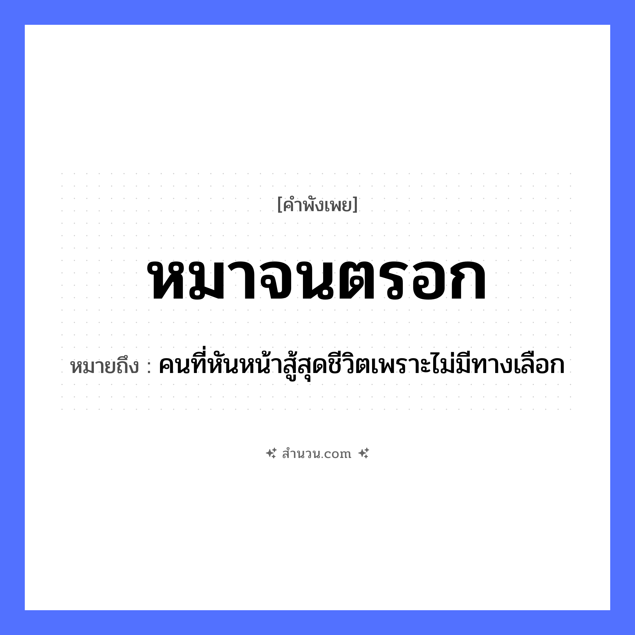 สำนวนไทย: หมาจนตรอก หมายถึง?, หมายถึง คนที่หันหน้าสู้สุดชีวิตเพราะไม่มีทางเลือก คำนาม คน สัตว์ หมา อวัยวะ หน้า คำกริยา สู้