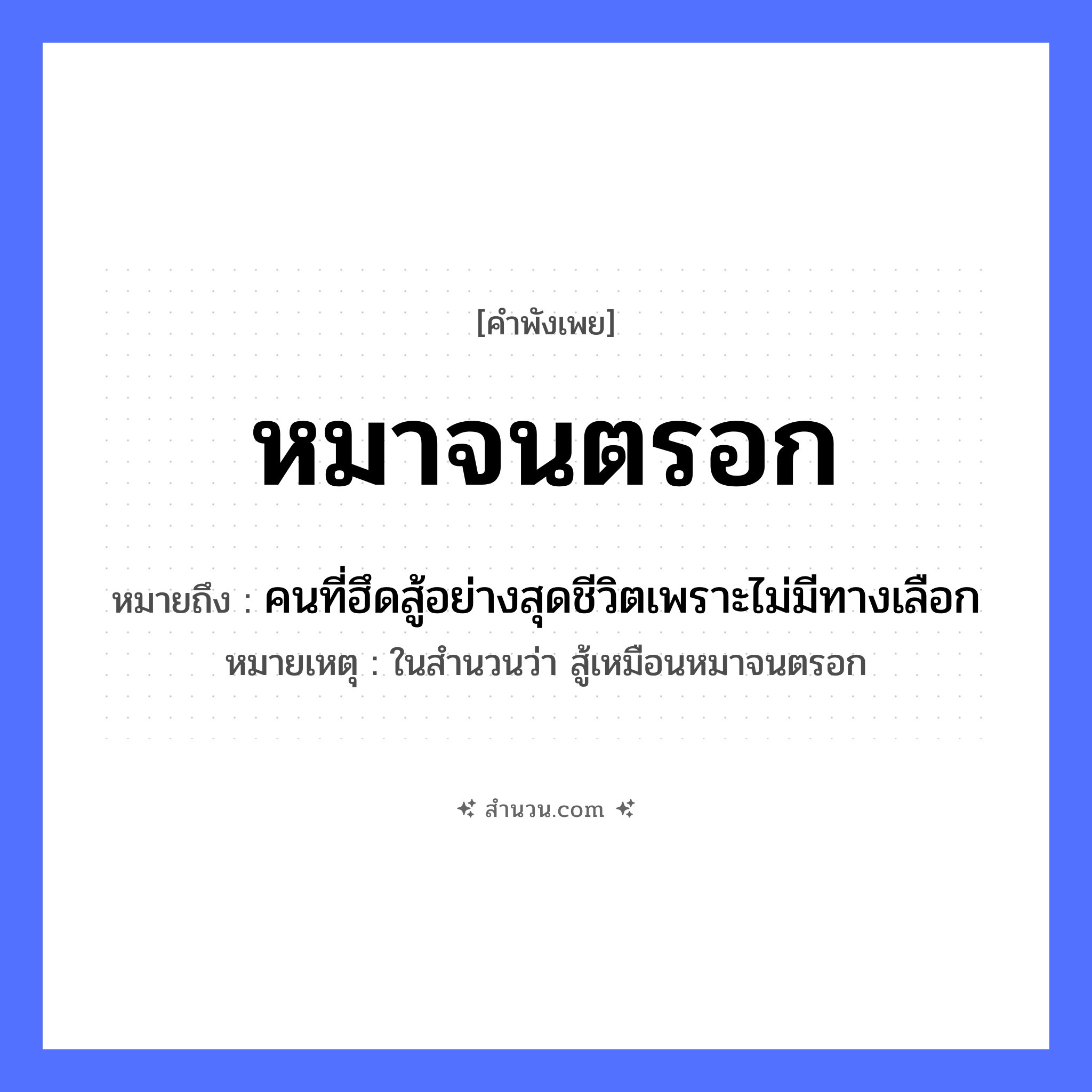 สำนวนไทย: หมาจนตรอก หมายถึง?, หมายถึง คนที่ฮึดสู้อย่างสุดชีวิตเพราะไม่มีทางเลือก หมายเหตุ ในสำนวนว่า สู้เหมือนหมาจนตรอก สัตว์ หมา สถานที่ ตรอก ความรู้สึก จนมุม, สิ้นหวัง หมวด คำพังเพย